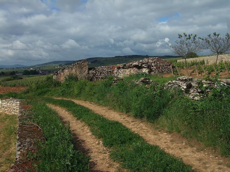 2010-05- (32).JPG